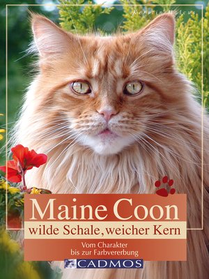 cover image of Maine Coon--Wilde Schale weicher Kern